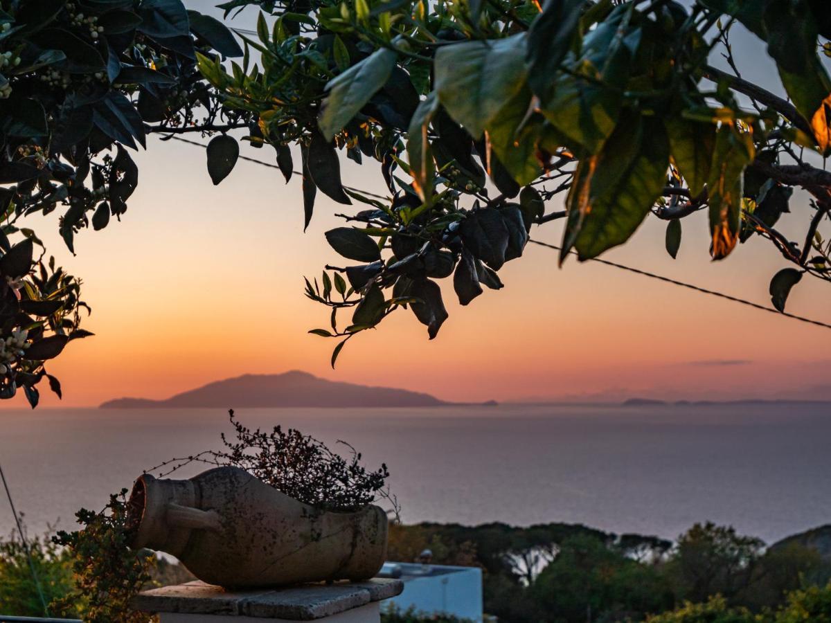 Bed and Breakfast Casa Astra Anacapri  Exteriér fotografie